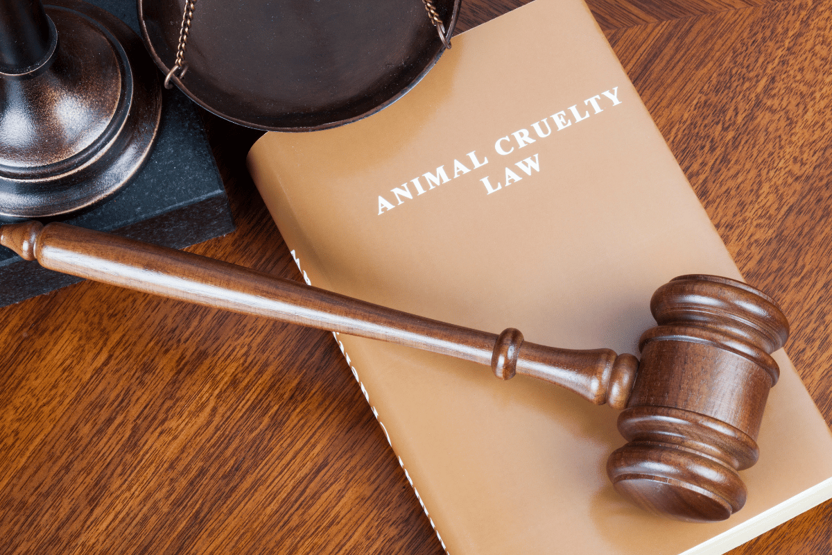 Animal Cruelty law book